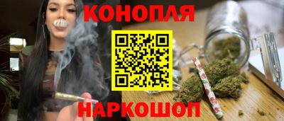 PSILOCYBIN Камышлов