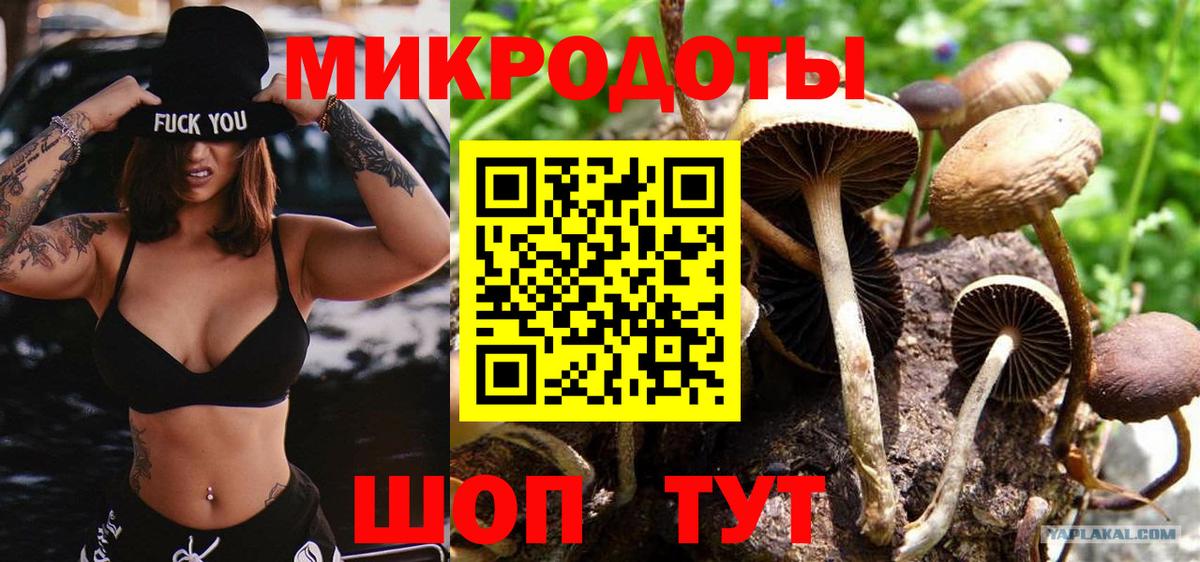 Ялуторовск  наркошоп  Вход с VPN  Псилоцибиновые грибы мухоморы  Псилоцибиновые грибы Psilocybe 