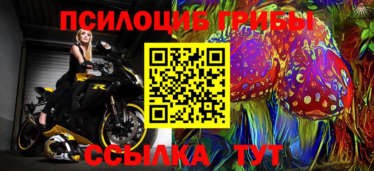Псилоцибиновые грибы GOLDEN TEACHER Ялуторовск