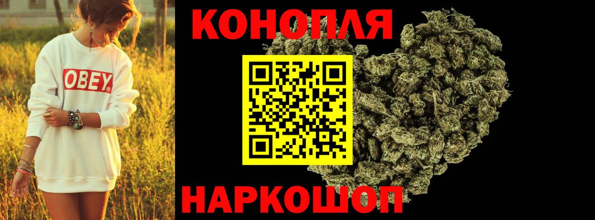 Бошки Шишки гибрид Ялуторовск